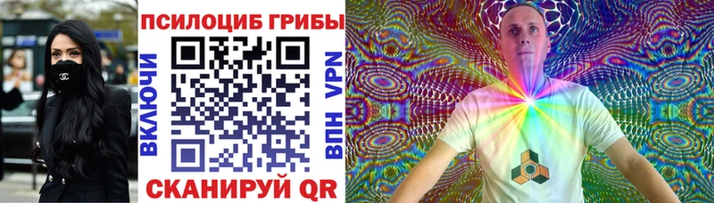 Псилоцибиновые грибы Magic Shrooms хочу наркоту ОМГ ОМГ как зайти Кирово-Чепецк